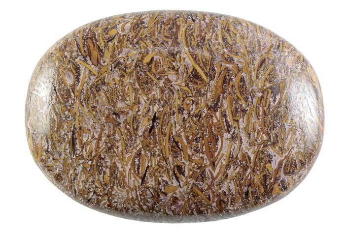 Polished Miriam Stone Palm Stone - India #365878